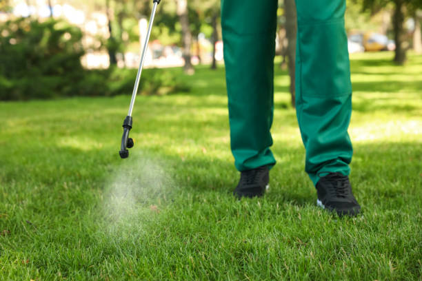 Best Residential Pest Control  in Lampasas, TX