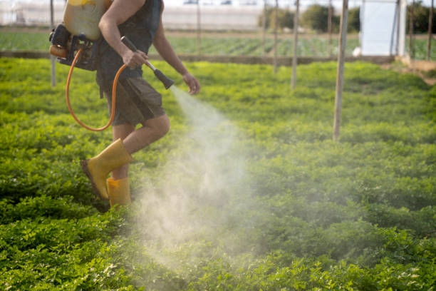 Professional Pest Control in Lampasas, TX