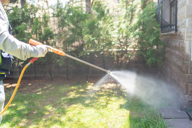 Wildlife Control Services in Lampasas, TX